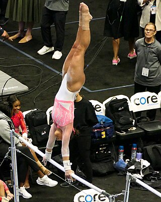 <span class="mw-page-title-main">Addison Fatta</span> American artistic gymnast