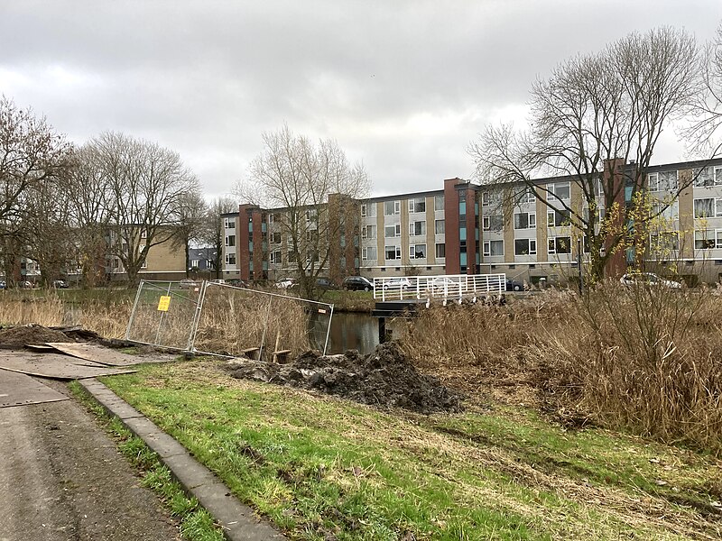 File:23993 Groningen vinkhuizen park siersteenlaan.jpg