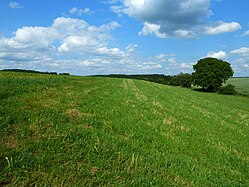 Feldrain (Upper Swabia)