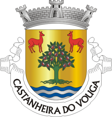 Castanheira do Vouga