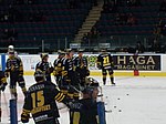 Ishockeyspelare från AIK ishockey 2010.