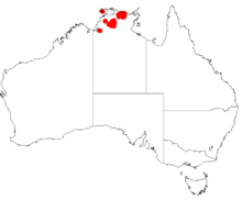 Acacia cataractaeDistMap169.png