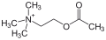 Acetylcholin