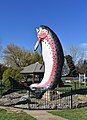 English: The Big Trout at Adaminaby, New South Wales