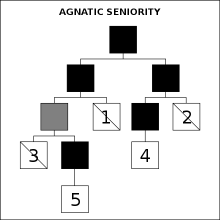 Agnatic seniority diagram
