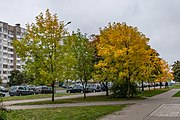 English: Aliesia Bačyly street. Minsk, Belarus Беларуская: Вуліца Алеся Бачылы. Мінск, Беларусь Русский: Улица Алеся Бачило. Минск, Беларусь