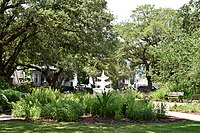 Allan Park Charleston.jpg 