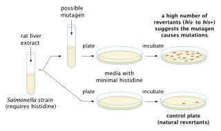 Ames test Biological testing method