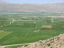 An unique beauty and the splendor of the Khanmirza agricultural plain 2010.jpg