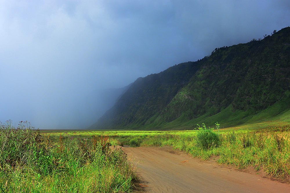 :File:Area sabana di kaldera purba gunung bromo.jpg