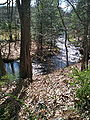 Aspetuck River south of Hedmons Pond waterfall from Aspetuck Valley Trail (Stepney Road walk). Blue-Blazed CFPA foot path in Connecticut Centennial Watershed State Forest which connects to Huntington State Park at the northern terminus and which follows the Aspetuck River from Newtown, CT through Redding and Easton, CT.