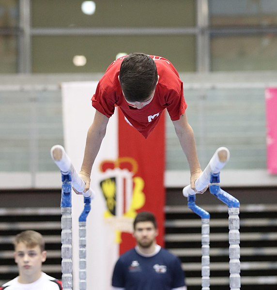 File:Austrian Future Cup 2018-11-23 Training Afternoon Parallel bars (Martin Rulsch) 0369.jpg