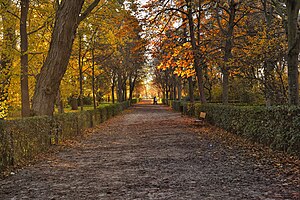 Autumn in Retiro Park in Madrid (Spain), photograph by Javier Perez Montes, 2023