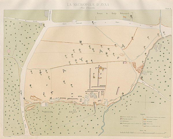 Plan of Ayaa Necropolis