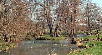 The river at Saint-Aubin-le-Cauf