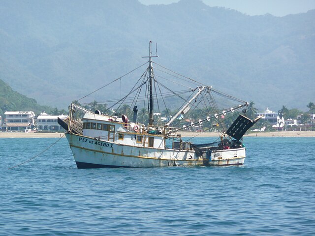 File:BOTE DE PESCA MARGARITEÑO.jpg - Wikimedia Commons