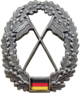 BW Barettabzeichen Heeresaufklärungstruppe.png
