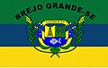 Bandeira de Brejo Grande