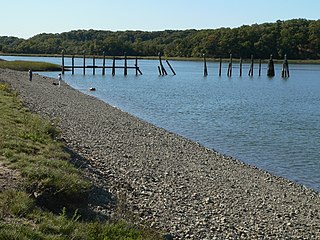 <span class="mw-page-title-main">Bare Cove Park</span>