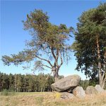 Great stone grave Bierstedt