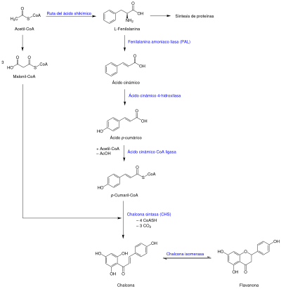 Flavonoide