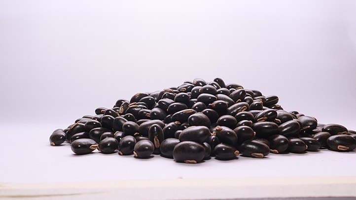 722px-Black_mucuna_Seed.jpg