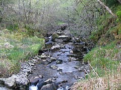 Blackcraig Burn,Clachaig. - geograph.org.uk - 1299974.jpg