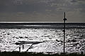 Radfahrer am Südstrand von Borkum.