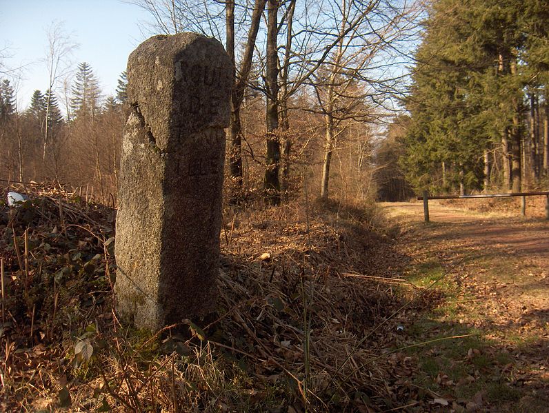 File:Borne de la forêt d'Ecouves - Tanville.JPG