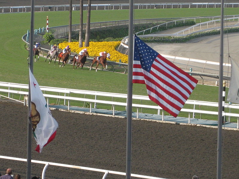 File:Breeders' Cup 2009 (4087738308).jpg