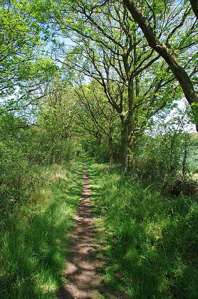 File:Bridleway to Mount Rd - geograph.org.uk - 6161394.jpg