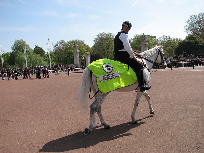 File:Buckingham Palace (3712903721).jpg