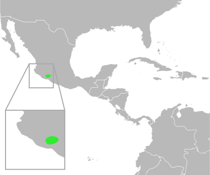 File:Bufo pisinnus distribution.svg