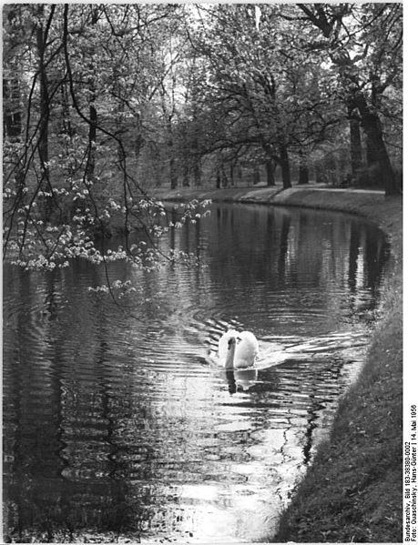 File:Bundesarchiv Bild 183-38380-0002, Potsdam, Park Sanssouci.jpg