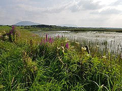 Bunduff Lough