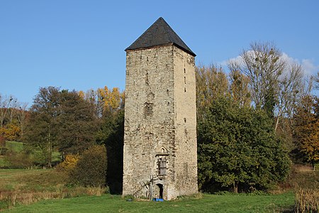 Burg Mühlenbach Koblenz 2011