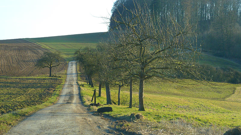 File:Buseck, Nähe E40 - Weg zur Steinshütte.jpg