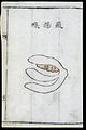 C18 Chinese woodcut; Upward-soaring throat (feiyang hou) Wellcome L0039719.jpg