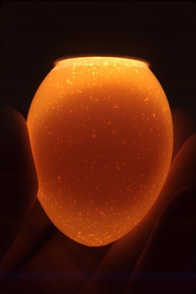 File:CDC PHIL 10147 – candling, non-fertile egg.jpg