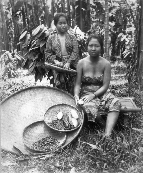 File:COLLECTIE TROPENMUSEUM Groepsportret van twee vrouwen die de cacaobonen uit de vruchten halen TMnr 60009705.jpg