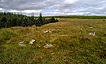 Cairn circle on the west of Bellever Tor in Dartmoor.