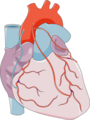 Coronary Artery Bypass Grafting 8