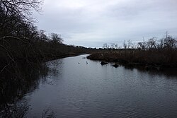 Râul Carmans, Wertheim National Wildlife Refuge.jpg