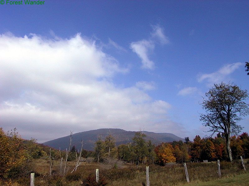 File:Cass-Mountains ForestWander.JPG