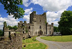 Castles of Leinster- Leap, Offaly (geograph 1952750).jpg