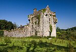 Thumbnail for File:Castles of Munster, Tourin, Waterford - geograph.org.uk - 1393432.jpg