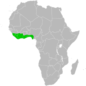 Cephalophus Niger Distribution Map.svg