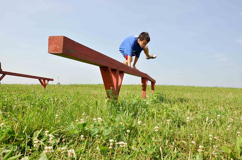 File:Children Participate in Annual Training During Kids AT DVIDS294537.jpg