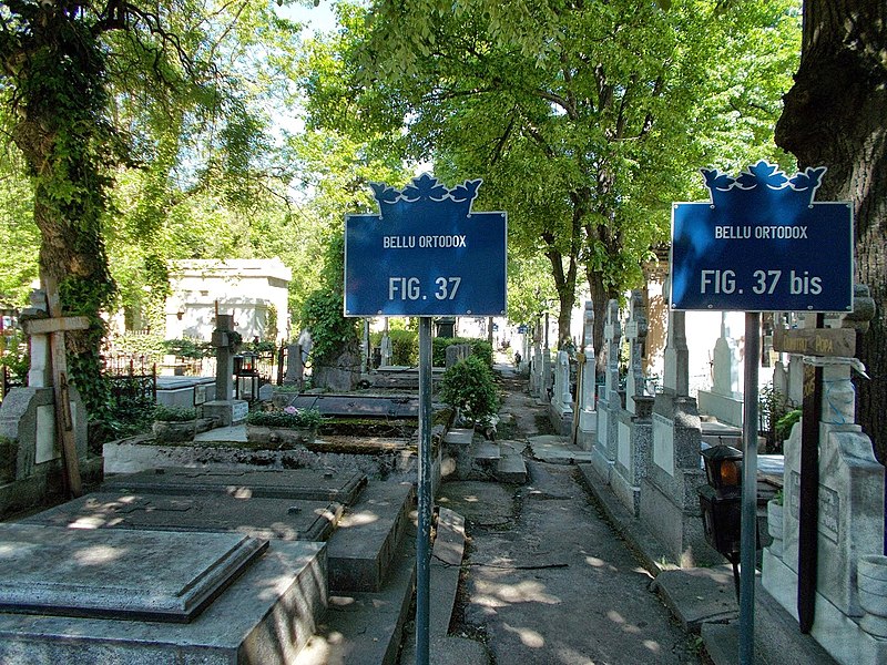 File:Cimitirul Bellu 39.jpg