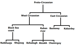 Nhóm Ngôn Ngữ Circassia